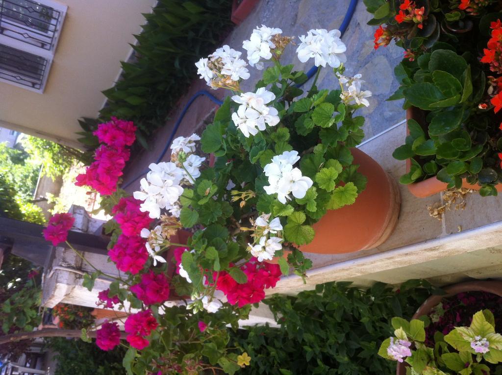 Besik Hotel Fethiye Exterior photo